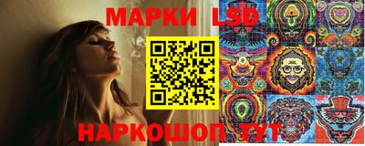 крисы Кунгур