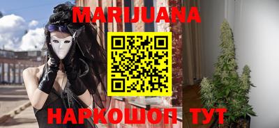 крисы Кунгур