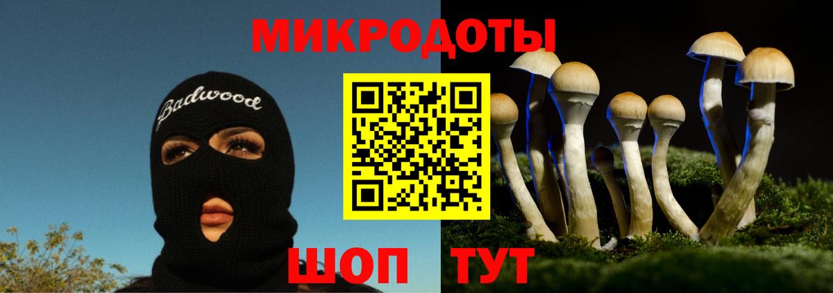 Грязи  Галлюциногенные грибы прущие грибы  Галлюциногенные грибы Cubensis  Вход с VPN 